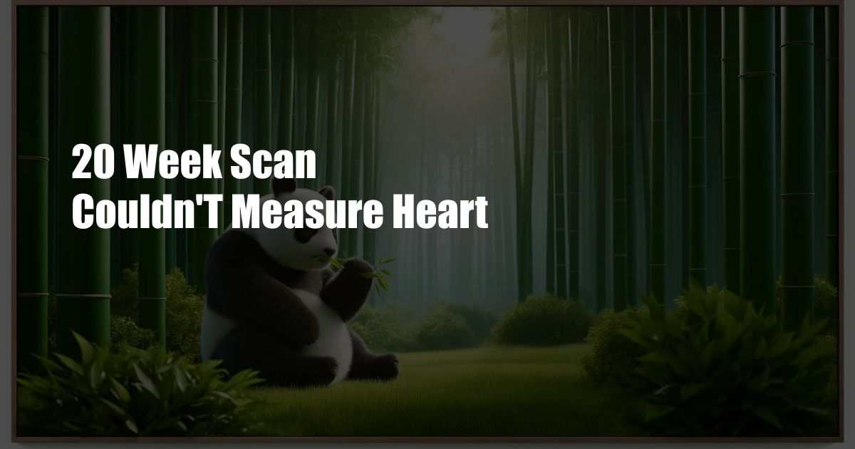 20 Week Scan Couldn'T Measure Heart