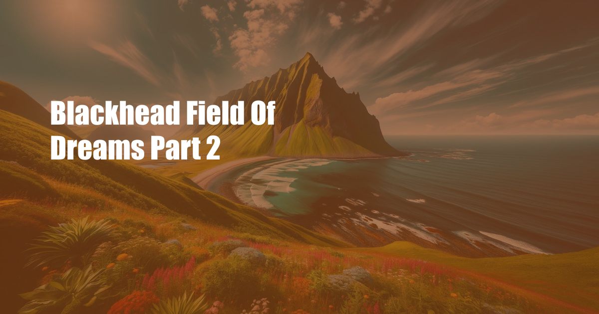 Blackhead Field Of Dreams Part 2