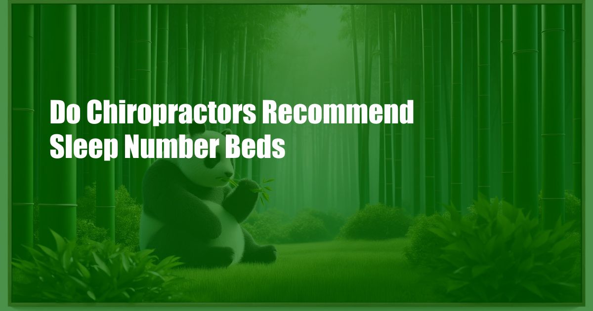 Do Chiropractors Recommend Sleep Number Beds