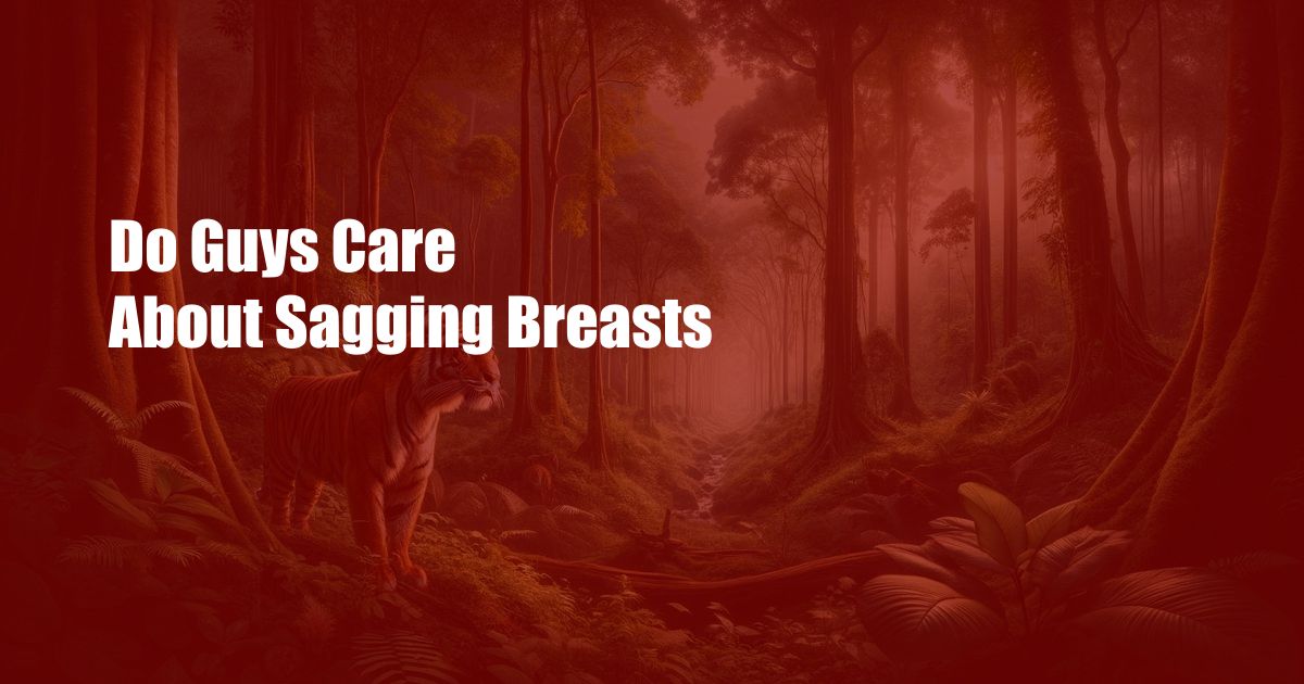 Do Guys Care About Sagging Breasts