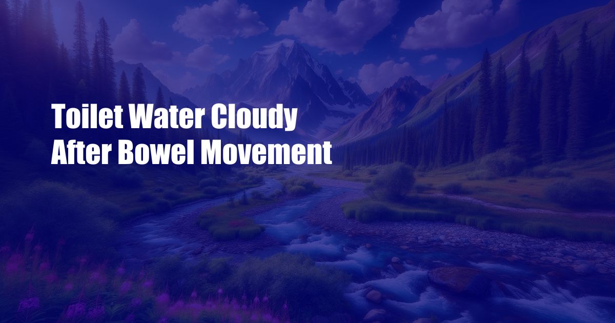 Toilet Water Cloudy After Bowel Movement