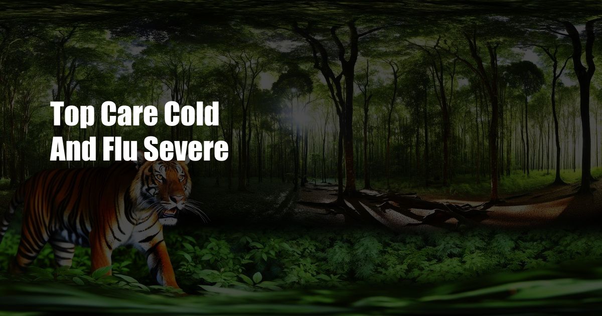 Top Care Cold And Flu Severe