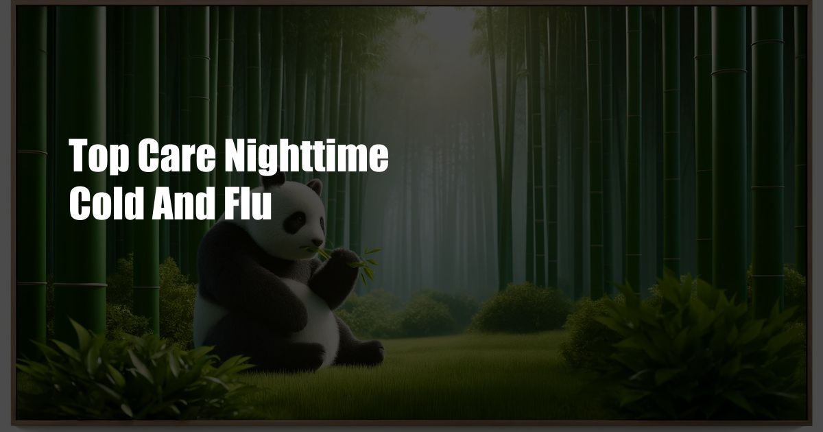 Top Care Nighttime Cold And Flu