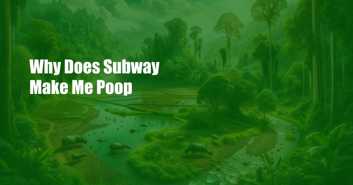 Why Does Subway Make Me Poop